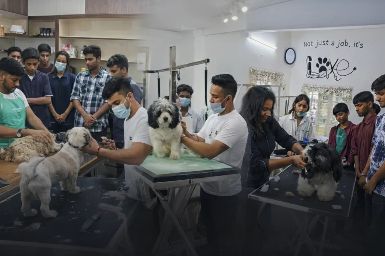 Institute of Professional Pet Care (IPPC) Bengaluru — professional pet grooming and urban dog walking training.